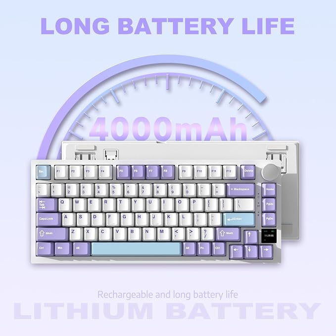 Purple (Flying Fish Switch)
