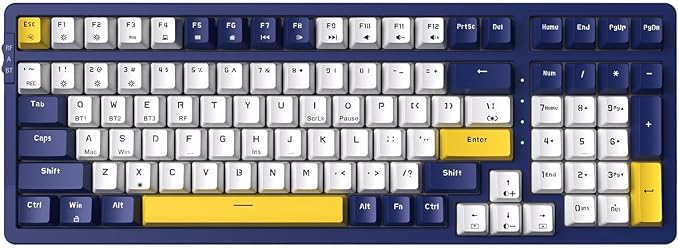 Red Switch-Dark Blue & Yellow