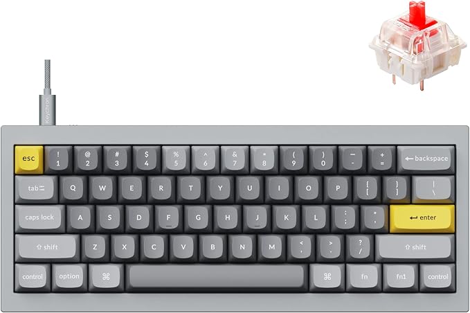 Gray (Gateron G Pro Red Switch)
