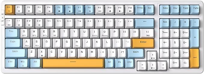 Brown Switch-Blue & Yellow