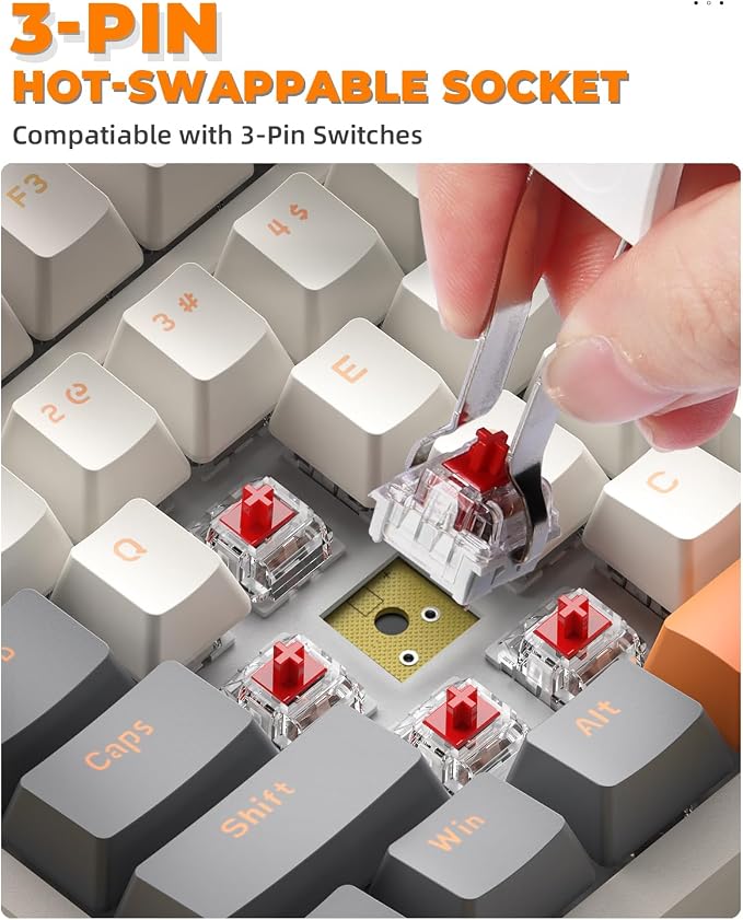 Off-white & Orange/Red Switch