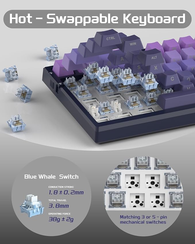 Dark Purple / Blue Whale Switch