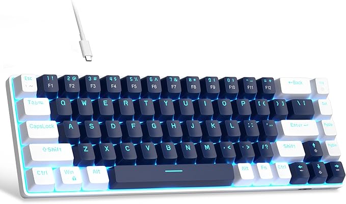 Blue/Blue Switch