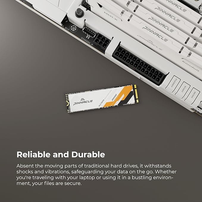 Pinnacle 1TB (10 pack)
