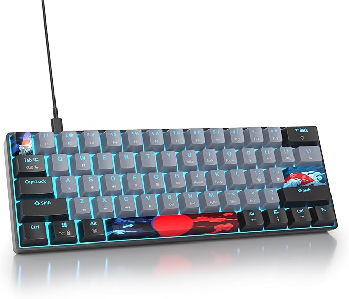 Black/ Blue Switch