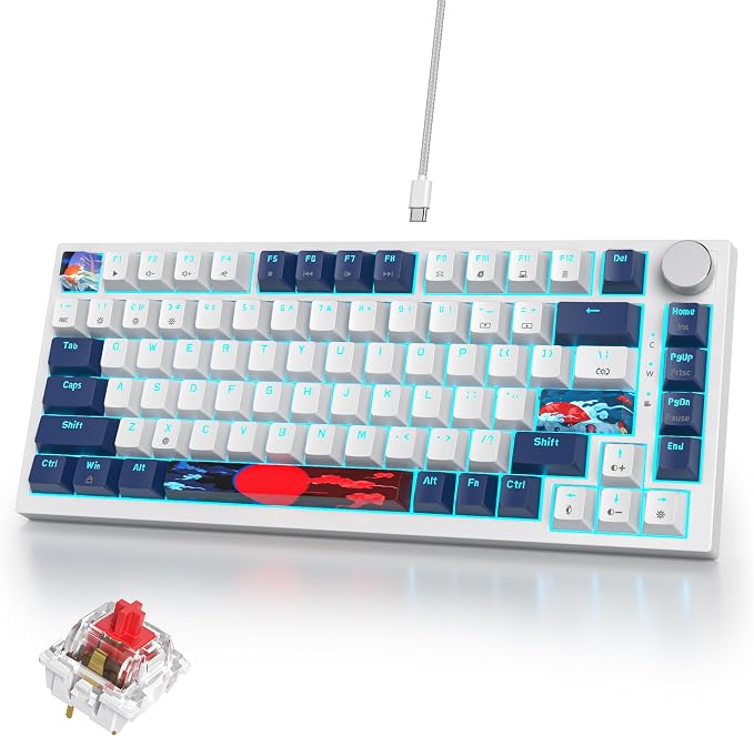 82 Blue White/Red Switch