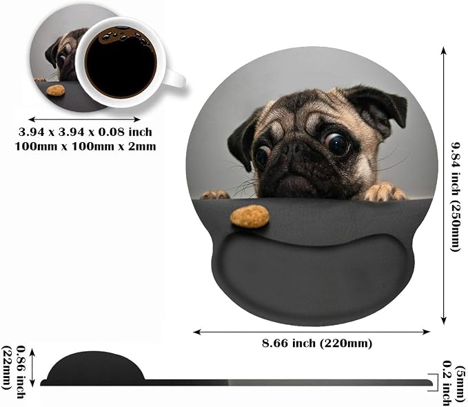 Cute Pug