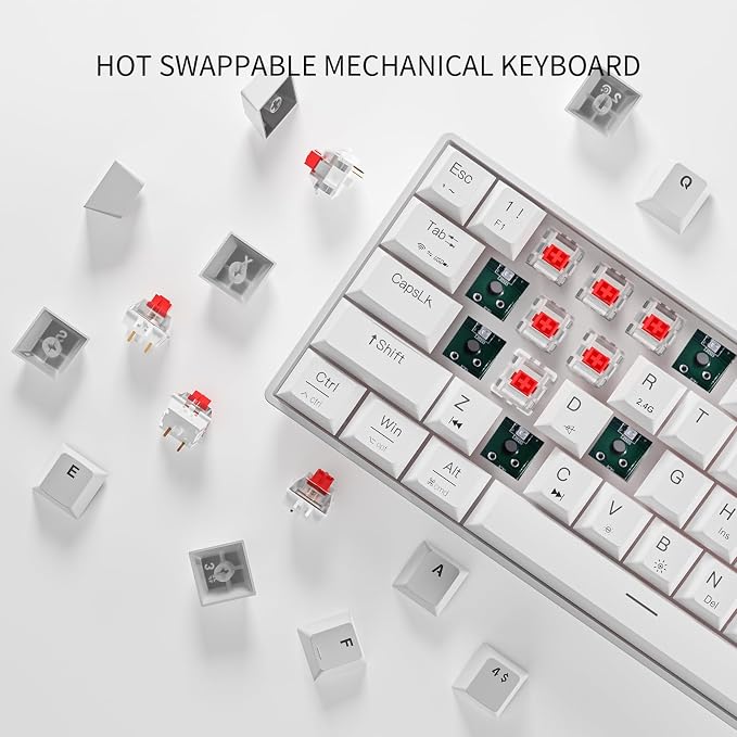 White/Red switch