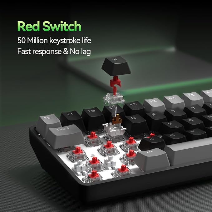 Grey Black/Red Switch