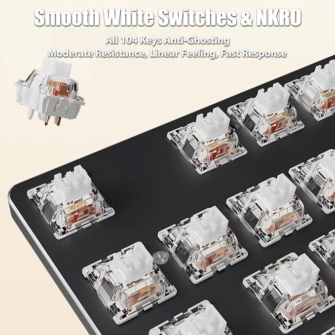 Wired - Black (White Switches)