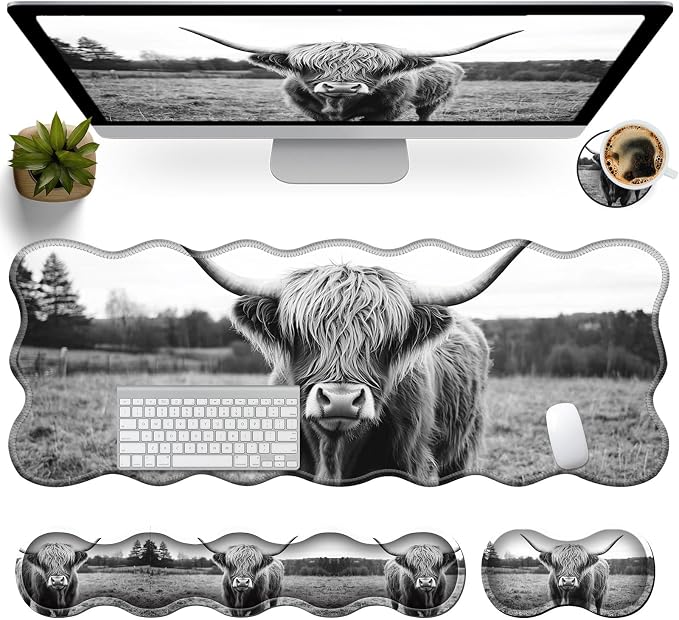 Highland Cow