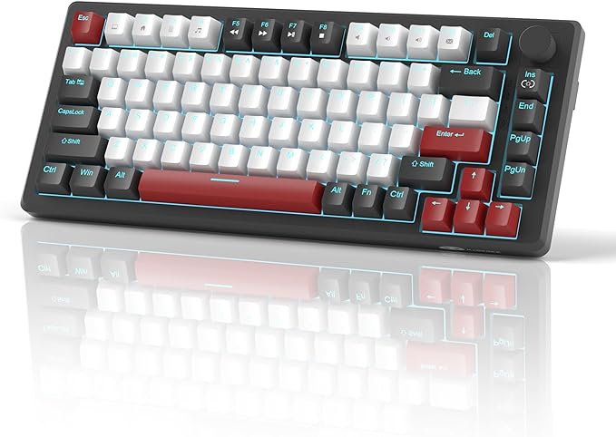 Black & White - Red Switch