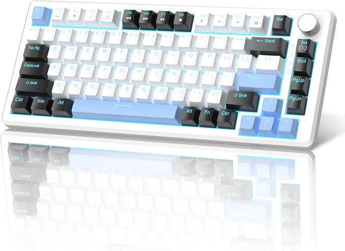 White & Blue - Brown Switch