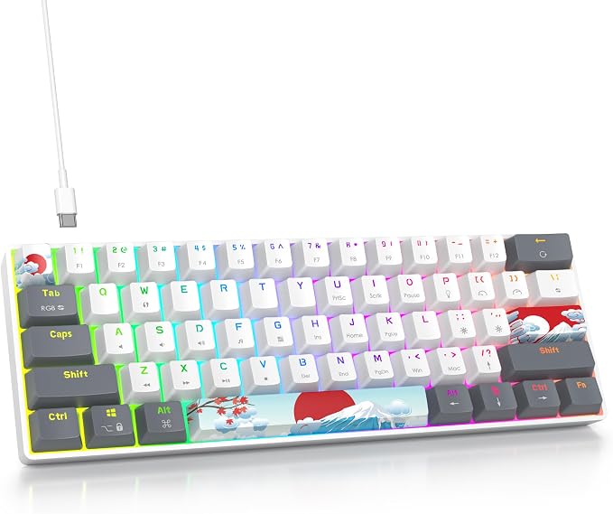 61 White/Red Switch