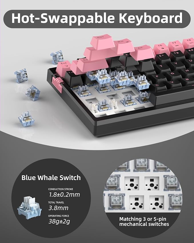 Pink & Black / Blue Whale Switch