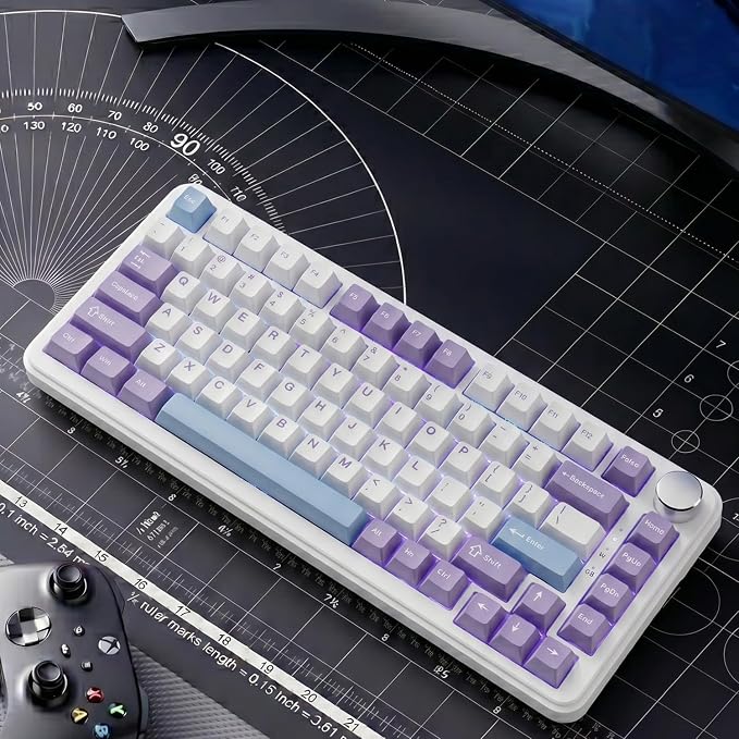 Magnetic Switch Purple-White