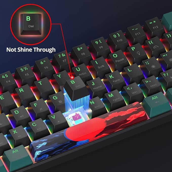 61 Soundwave B/Red Switch
