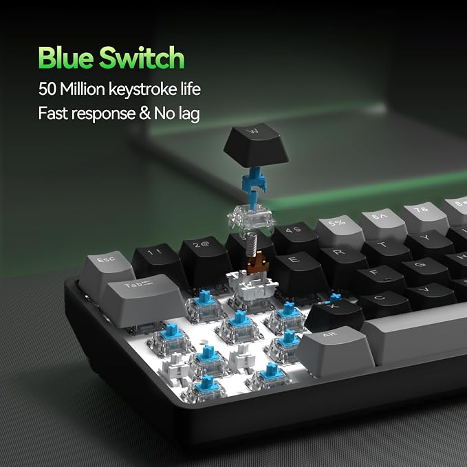 Grey Black/Blue Switch