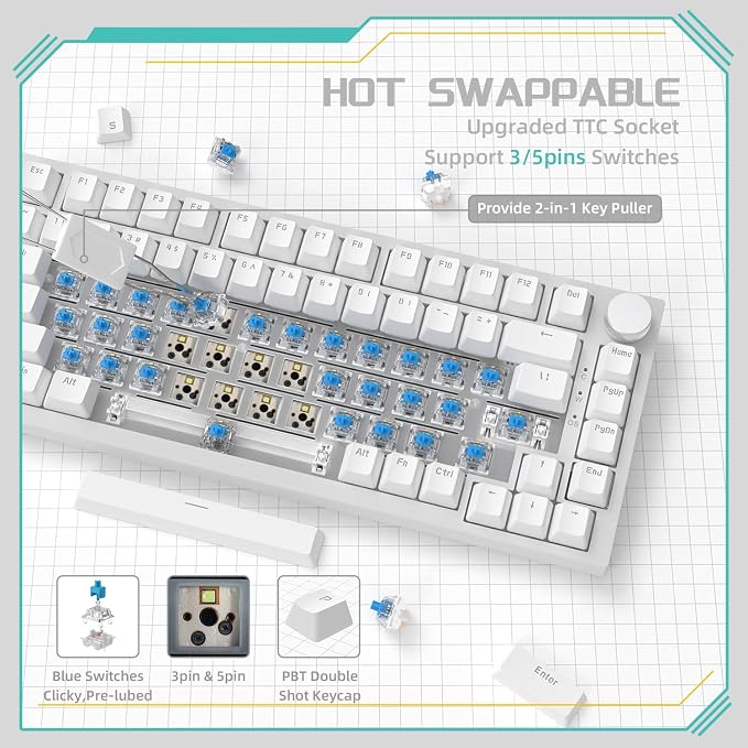 white/blue switches