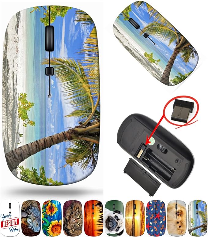 BYADAUannA_A SCENE OF PALM TREE_307