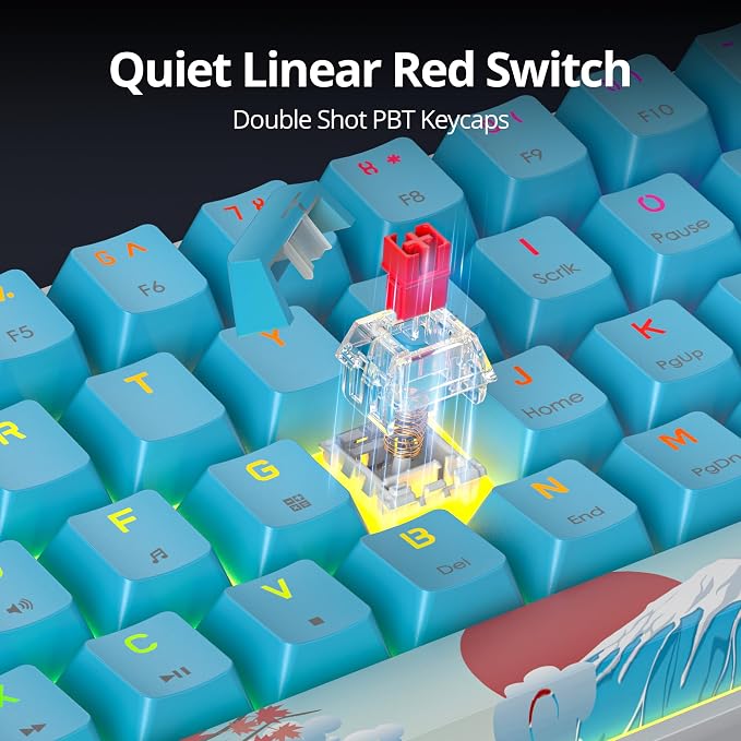 61 Blue/Red Switch