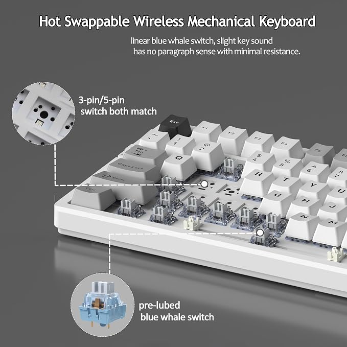 White Grey/Blue Whale Switch
