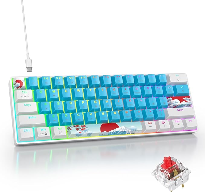 61 Blue/Red Switch