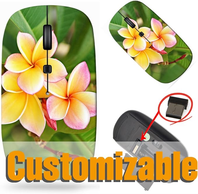 BYADAUaMEA_BEAUTIFUL FRANGIPANI_150