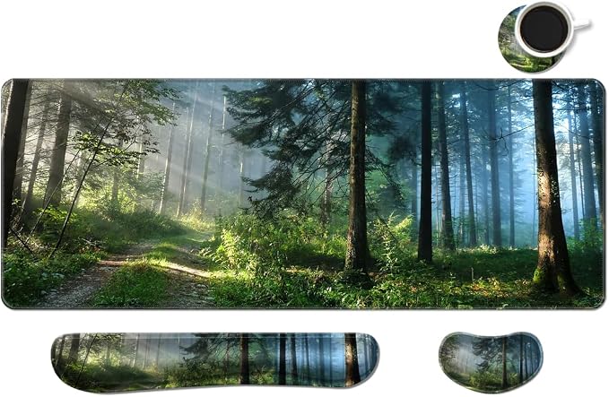 Forest in the Morning