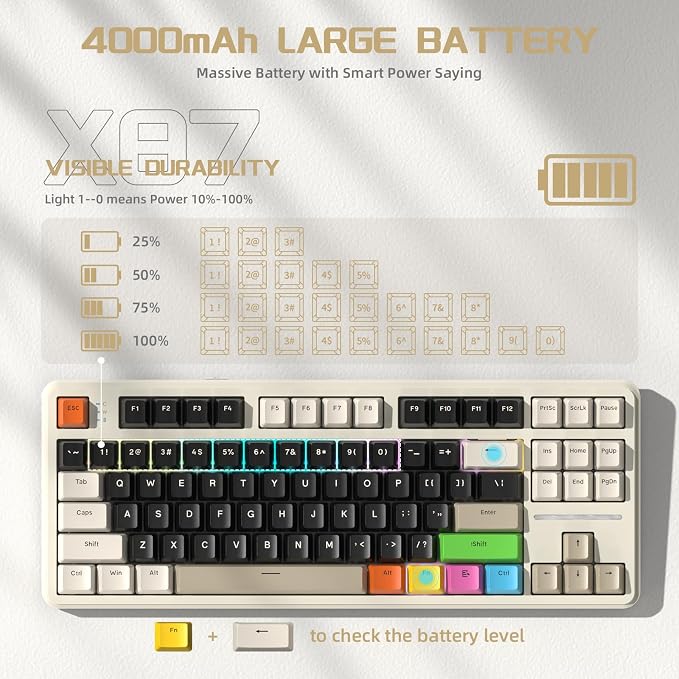 White&8 Keys