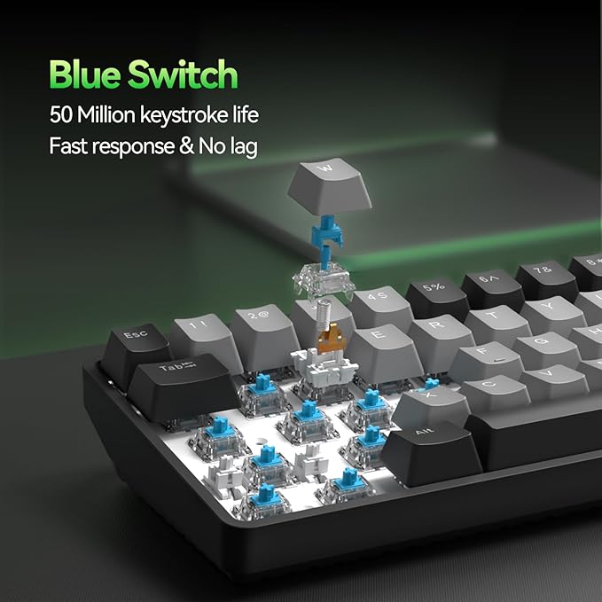 Black Grey/Blue Switch