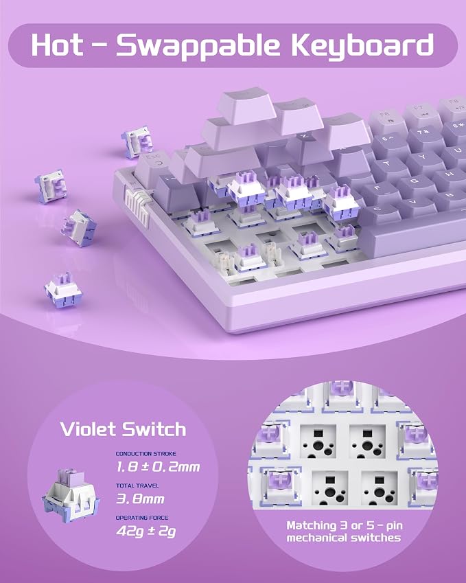 Lavender / Violet Switch