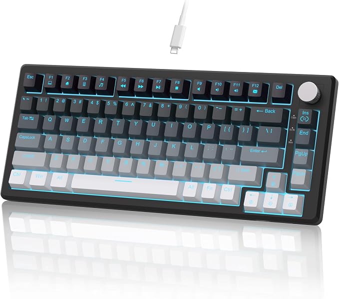 Gradient Gray - Red Switch