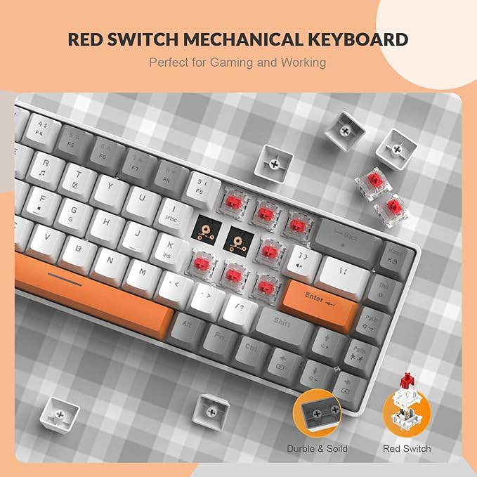 Gray White Orange