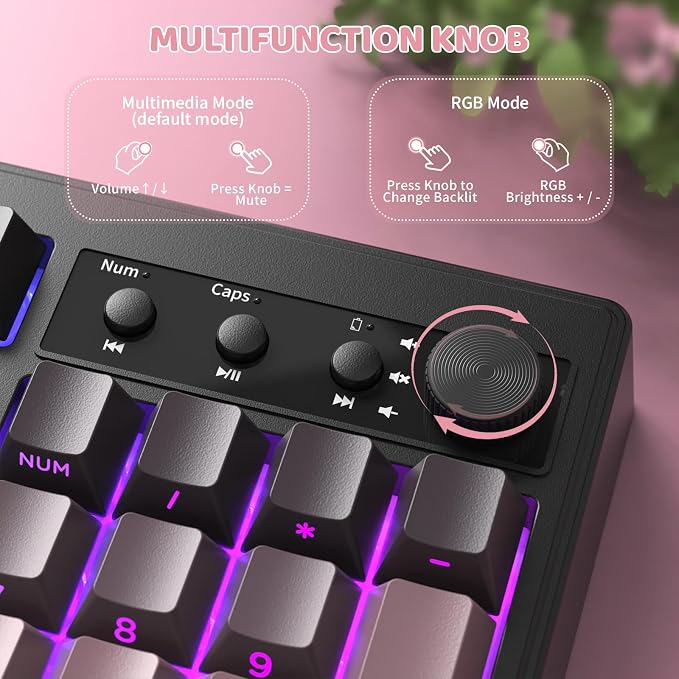 Gradient Pink