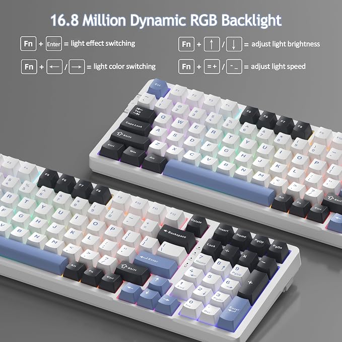 Black Blue/Ivory White Switch