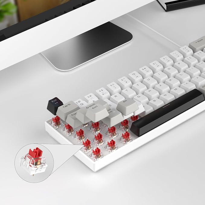 White Grey/Red Switch