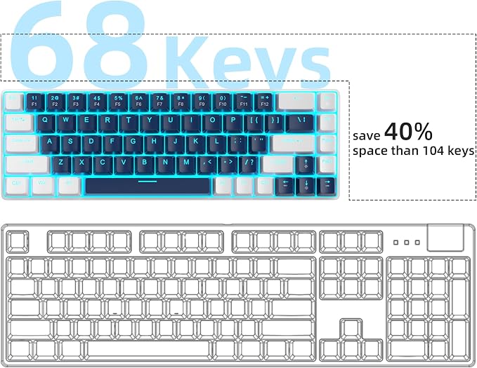 Blue/Blue Switch