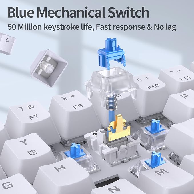 White/Blue Switch