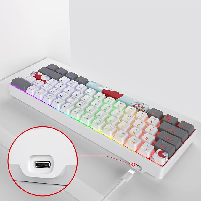 61 white/Red Swicth