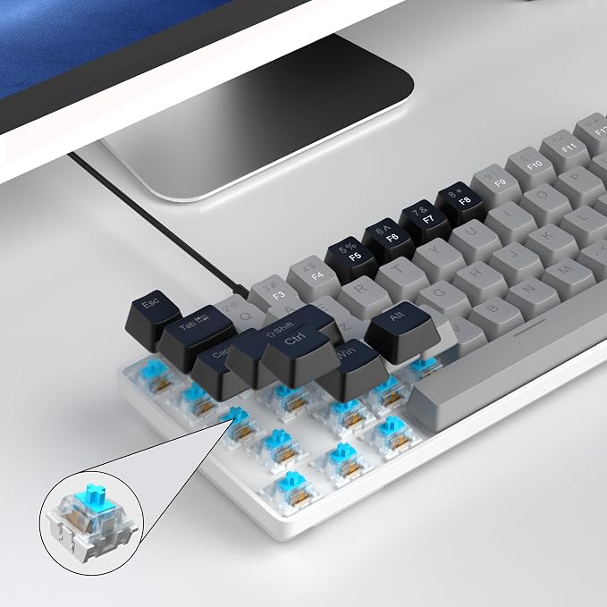 Grey/Blue Switch