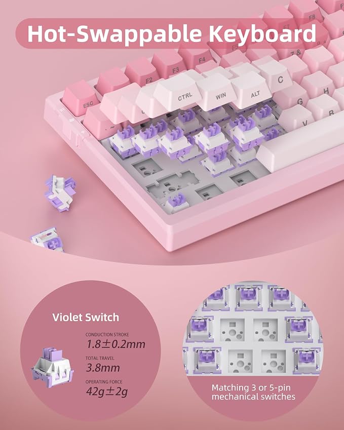 Pink & White / Violet Switch