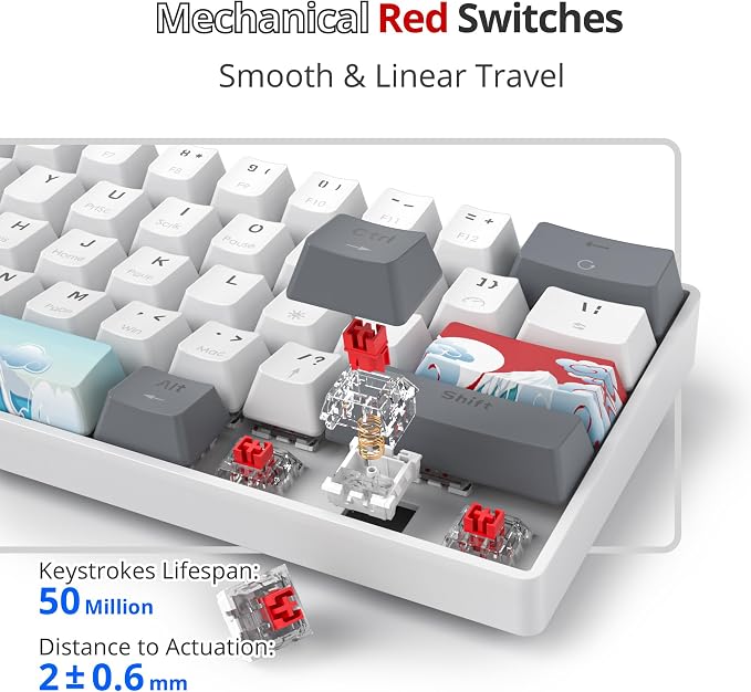 61 White/Red Switch