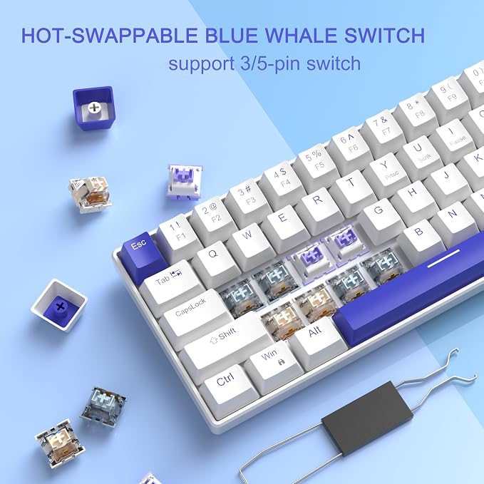 Klein Blue/Blue Whale Switch