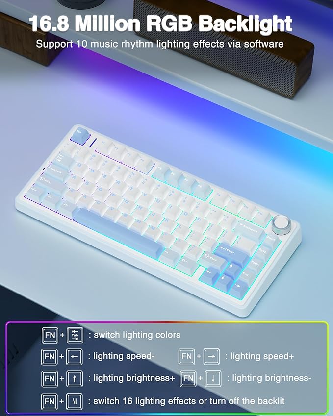 Salt White Blue