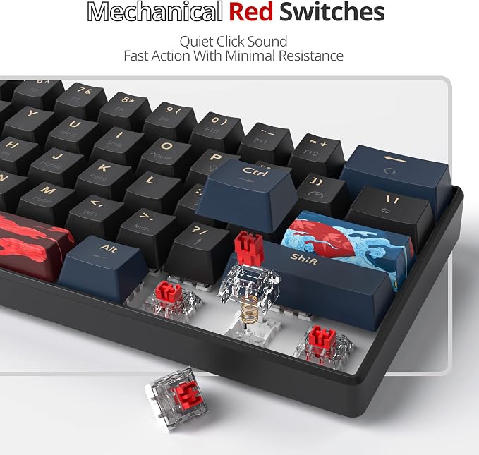 61 Blue/red swicth