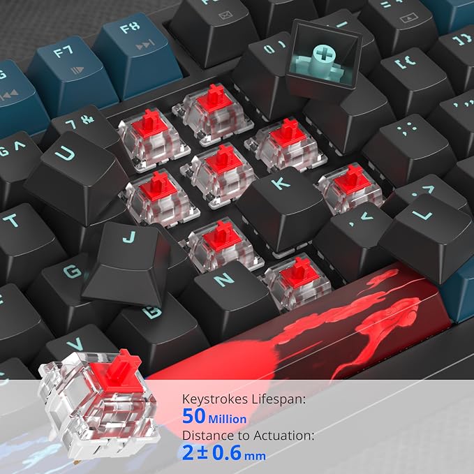 82 Black Blue/Red Switch