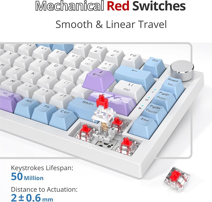 PurpleWhite-RedSwitch