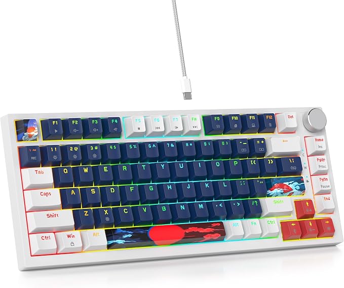 Blue Earth /Red Switch
