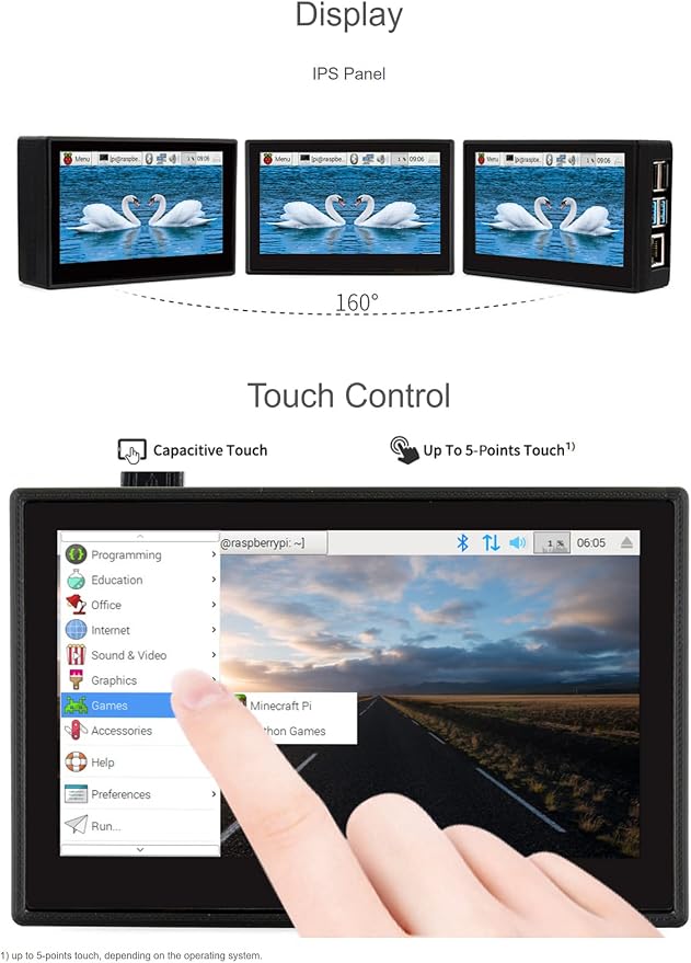 4.3 inch DSI LCD (with case)